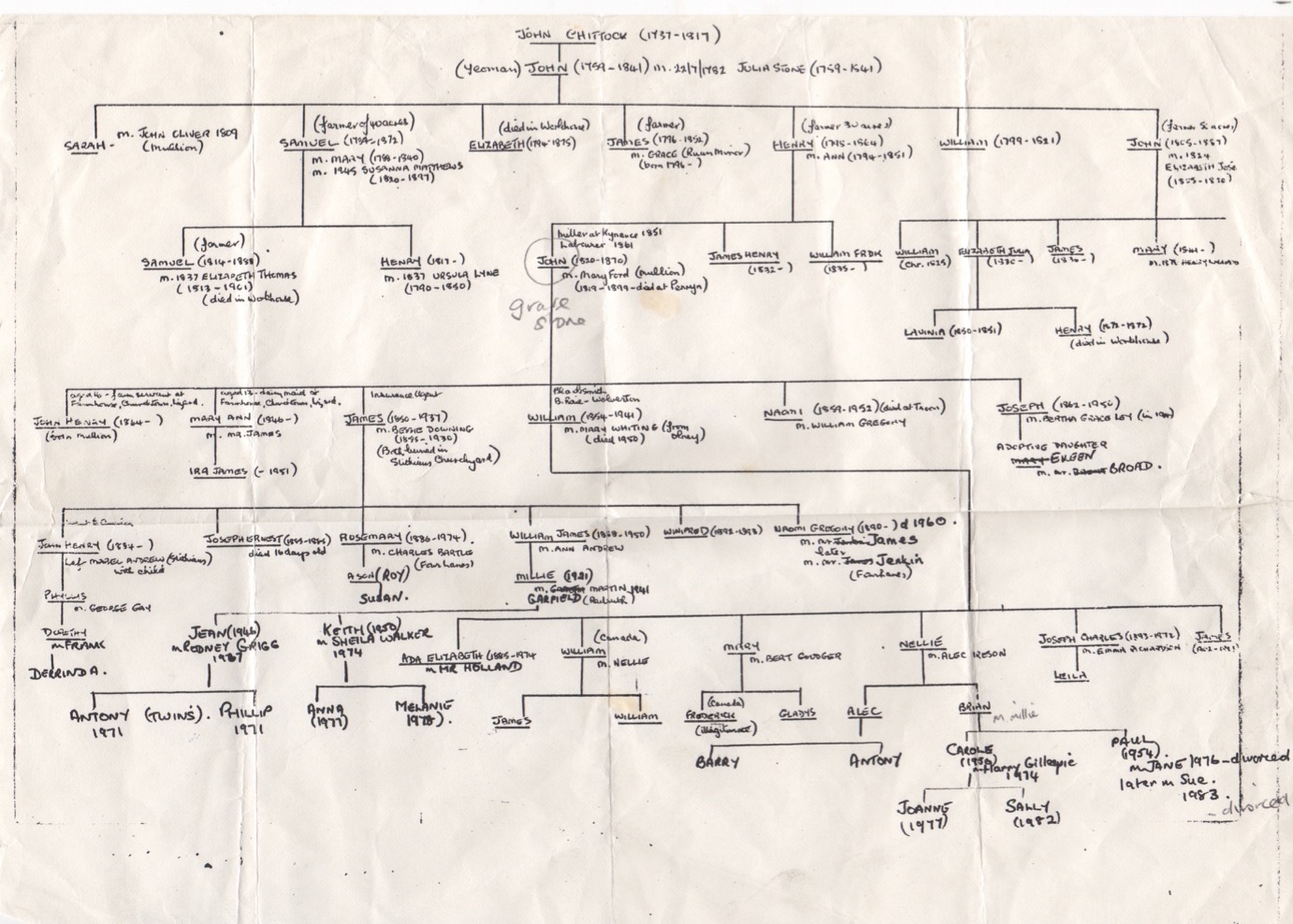 family tree
